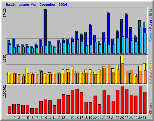 Daily usage for December 2024