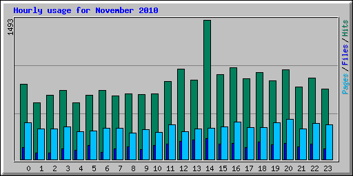 Hourly usage for November 2010