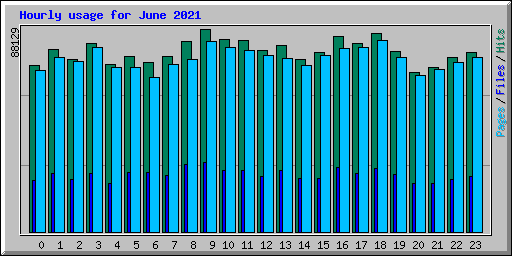 Hourly usage for June 2021