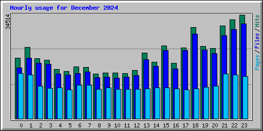 Hourly usage for December 2024