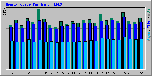 Hourly usage for March 2025