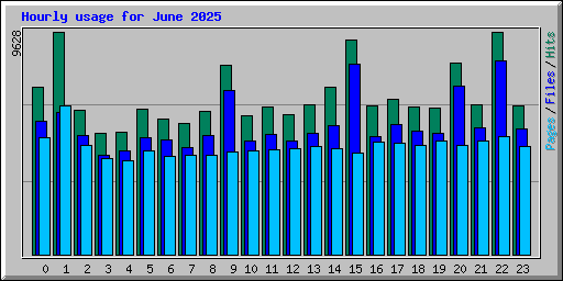 Hourly usage for June 2025