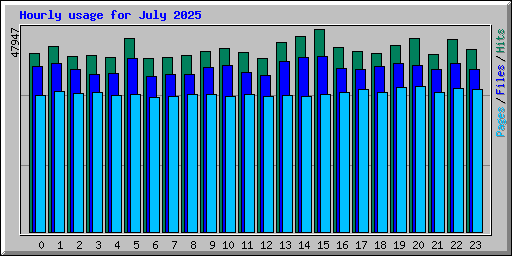 Hourly usage for July 2025