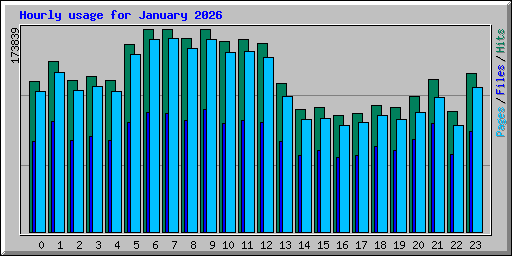 Hourly usage for January 2026